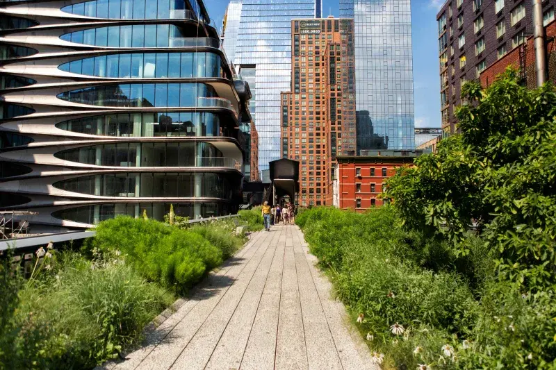 The High Line. Photo: Brittany Petronella